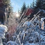 Philip Warden - @pd.warden - Instagram