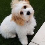 Philip Warner - @philipwarner70 - Instagram