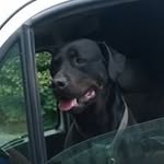 Phil Waugh - @pwwaugh - Instagram