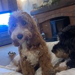 philip weaver - @philweaver07 - Instagram