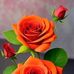 Philip Werner - Facebook