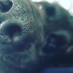 Philip Curtis-whitfield - @philipcurtiswhitfield - Instagram