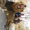 Philip Whittle - @philip.whittle5 - TikTok