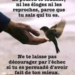 Widner Jean Philippe - @widnerjeanphilippe - Instagram