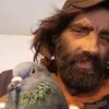 Philip Wilcox - @philipwilcox6 - TikTok