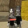 philipp_wildi - @melli_kitsune - TikTok