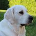 Philipp Wilhelm - Facebook