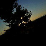 Philip Wirth - @wirth56 - Instagram