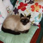 Philip Witter - @witterphilip - Instagram