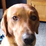 Phillip Woolston - @miniphillw - Instagram