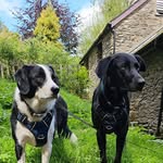 Philip Worth - @philipworth7354 - Instagram
