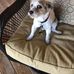 Philip Wright - Facebook