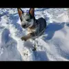 Philipp Wunderlic690 - @philippwunderlich - TikTok