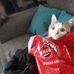 Philipp Keller - Facebook