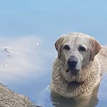 Philipp Keller - @philipp.keller.560 - Instagram