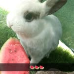 Philipp - @philipp.schwarzmueller - Instagram