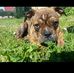 Philipp Werner - Facebook