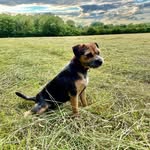 Philippa Barton - @philippa.barton - Instagram