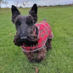 PHILIPPA CLARKE - @philippaclarke999 - Instagram