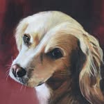 Philippa Clarke Animal Art - @philippa_clarke_animal_art - Instagram