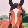 Philippa Ellis - @philippaellis8 - TikTok