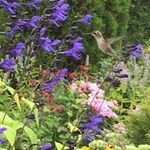 Philippa Ellis - @philippa_m_e - Instagram