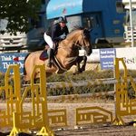 𝗣𝗵𝗶𝗹𝗶𝗽𝗽𝗮 𝗛𝗮𝗹𝗹𝗶𝘄𝗲𝗹𝗹 - @philippa_halliwell_showjumping - Instagram