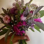 Philippa Holmes - @philippaholmes1 - Instagram