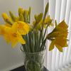 Philippa King867 - @pking0971 - TikTok