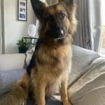 Philippa Mitchell-Harris - @philippamitchellharris - Instagram