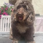 Philippa Reed - @philreed_60 - Instagram