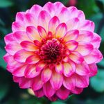 Philippa Smith - @philippa8050 - Instagram