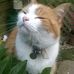 Philippa Smith - Facebook