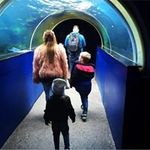 Philippa Smith - @smith_pr123 - Instagram