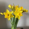 Philippa Smith - @philippasmith4 - TikTok