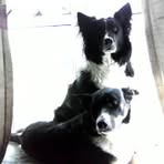 Philippa Stuart - Facebook