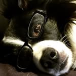 Philippa Watson - @zooseum - Instagram