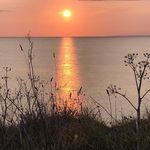 Philippa White - @philippa.white.1238 - Instagram