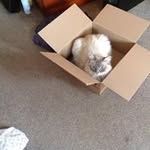 Philippa-pip Young - @philippapipyoung - Instagram