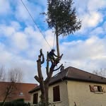 Philippe Besnard - @dwichaubeurre - Instagram