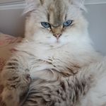 Philippe Blanchard - @philippe.blanchard.33865854 - Instagram