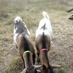 Philippe Boucher - @philippe.boucher.140 - Instagram