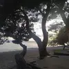 Philippe Boucher - @philippe.boucher3 - TikTok