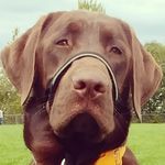 Louis-philippe Cyr - @cyrlouisphilippe - Instagram