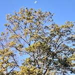Philippe Joseph - @philippe.joseph92150 - Instagram