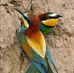 Philippe Lecointre - Facebook