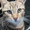 Philippe Lecointre - @philippe.lecointr - TikTok