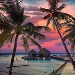 Philippe Michaud - @michaud.philippe - Instagram