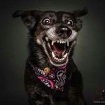 Philippe Piot - @piotphil32 - Instagram