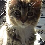 Philippe Thibault - @philippe.thibault.792 - Instagram
